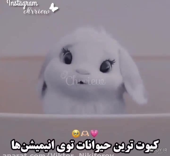 دانلود برنامه تصویر زمینه حیوانات کیوت اندروید | بازار دانلود برنامه تصویر زمینه حیوانات کیوت اندروید | بازار