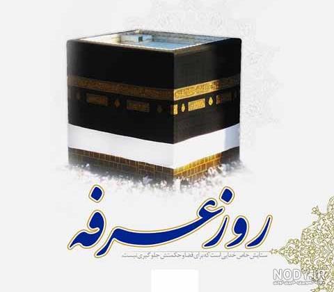 زیارت امام حسین(ع) در عرفه صف‌بندی شد+ تصاویر - ایمنا