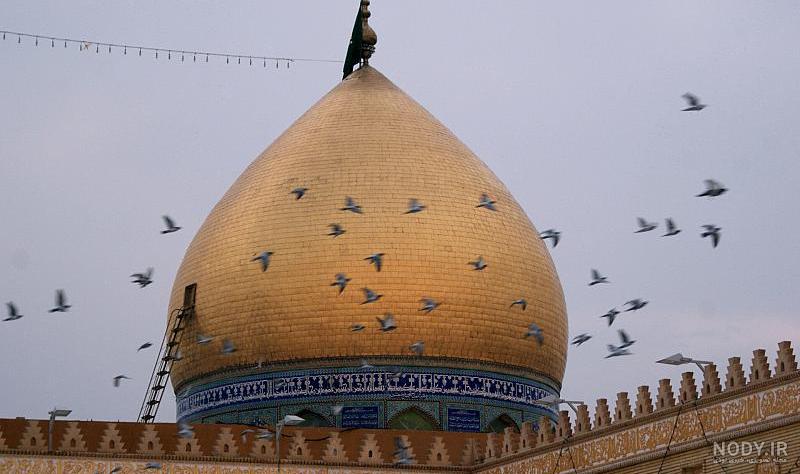 تصاویر| پیاده روی اربعین حسینی در مسیر کوفه به کربلا