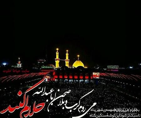 عکس زائر کربلا هستم عکس زائر کربلا هستم