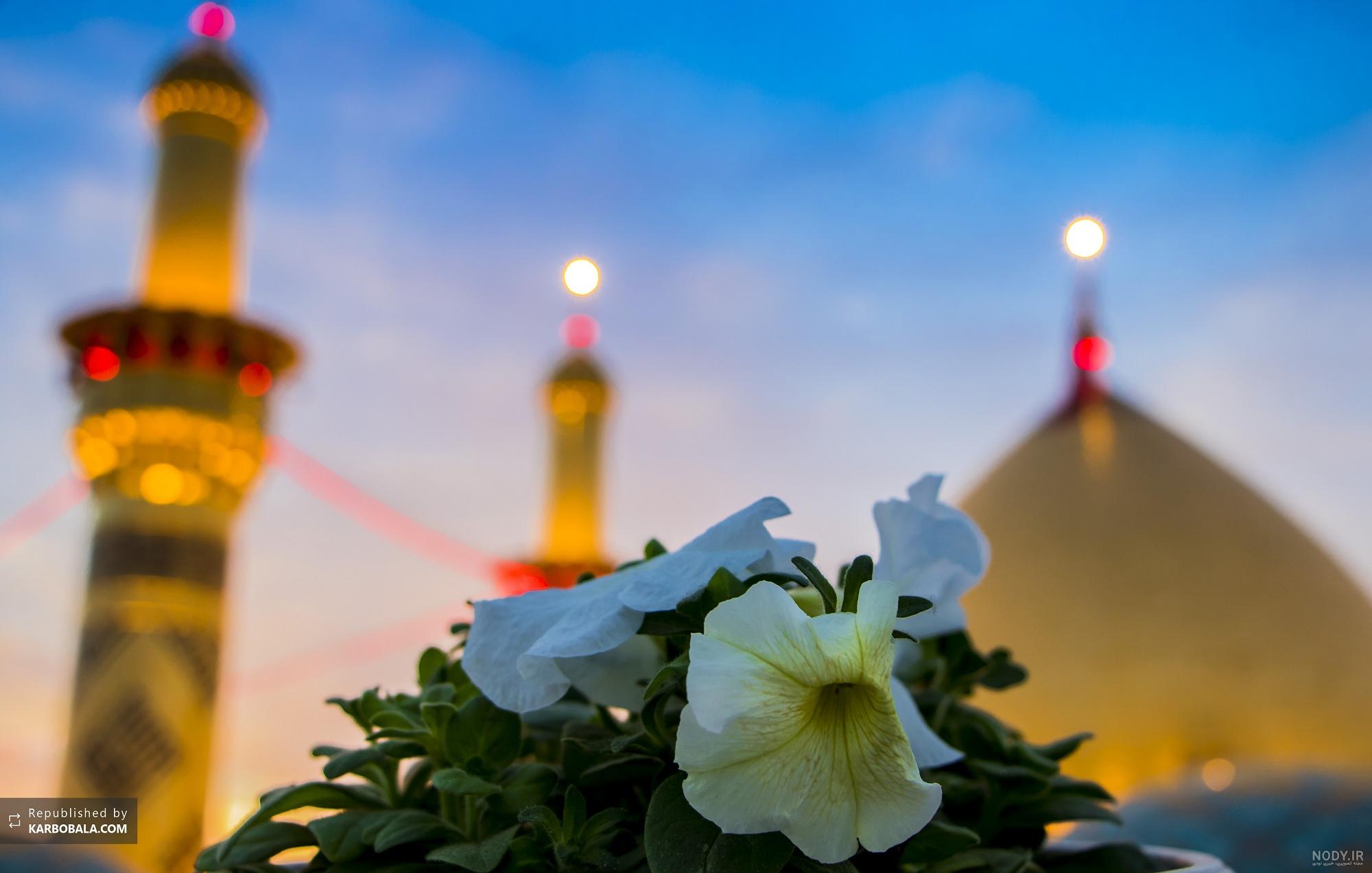 عکس - کربلای معلی