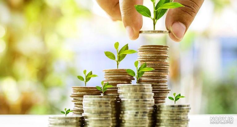 مدیر مالی کیست و کجا کار می کند ؟ - دنیای کار