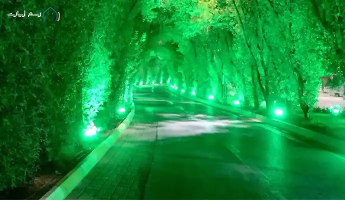 مهر - عکاسان کدام مسیرها را برای عکاسی پیاده روی اربعین انتخاب کنند؟ -  صاحب‌خبر