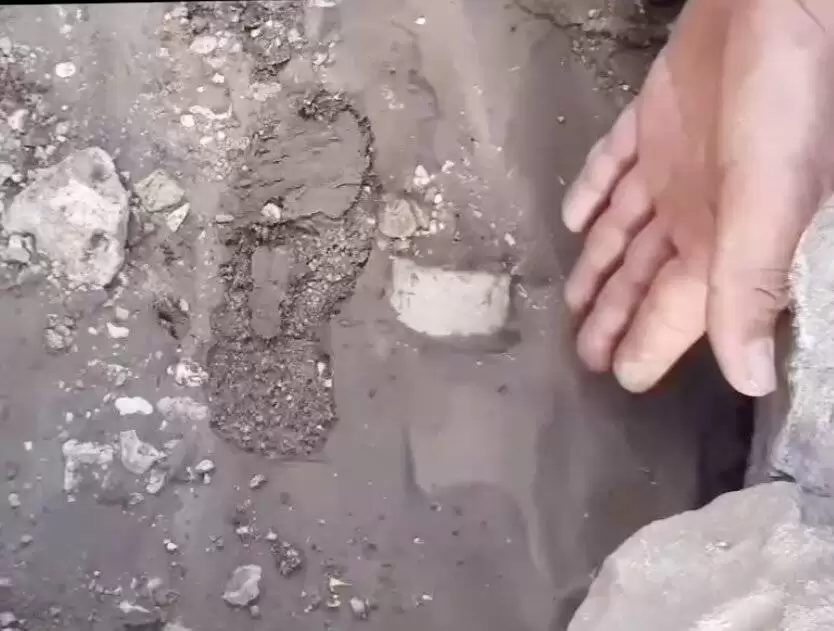 جست و جو برای کودک کلاله ای
