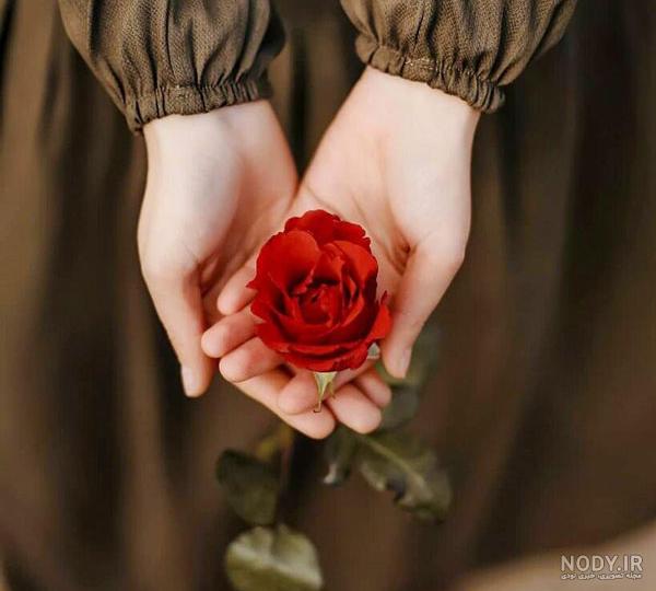  عکس دختر با گل نرگس برای پروفایل