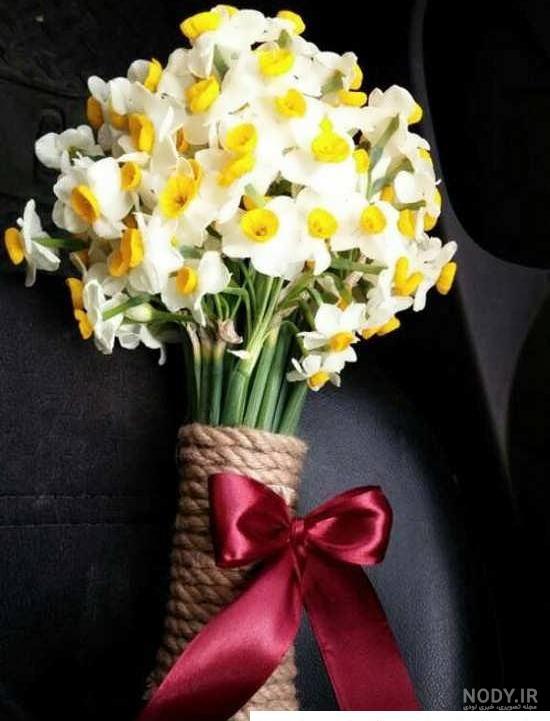  عکس دختر با گل نرگس برای پروفایل