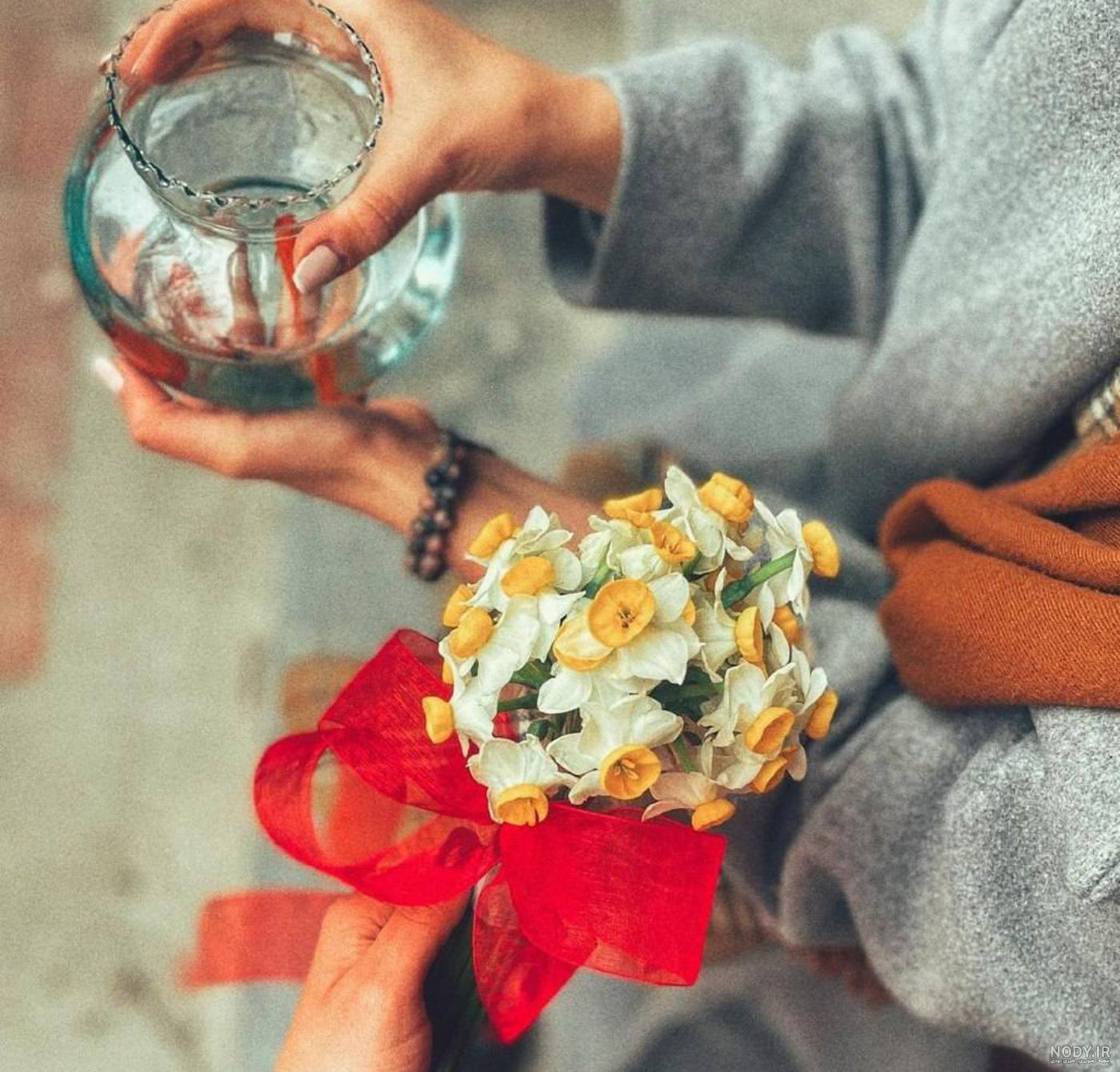  عکس دختر با گل نرگس برای پروفایل