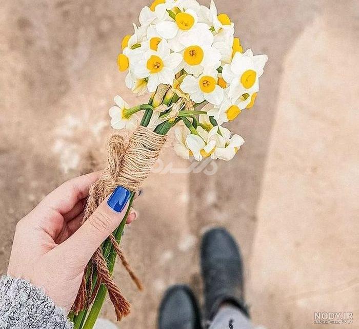  عکس دختر با گل نرگس برای پروفایل