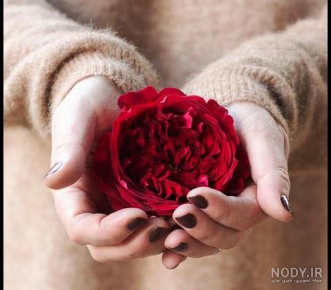  عکس دختر با گل نرگس برای پروفایل