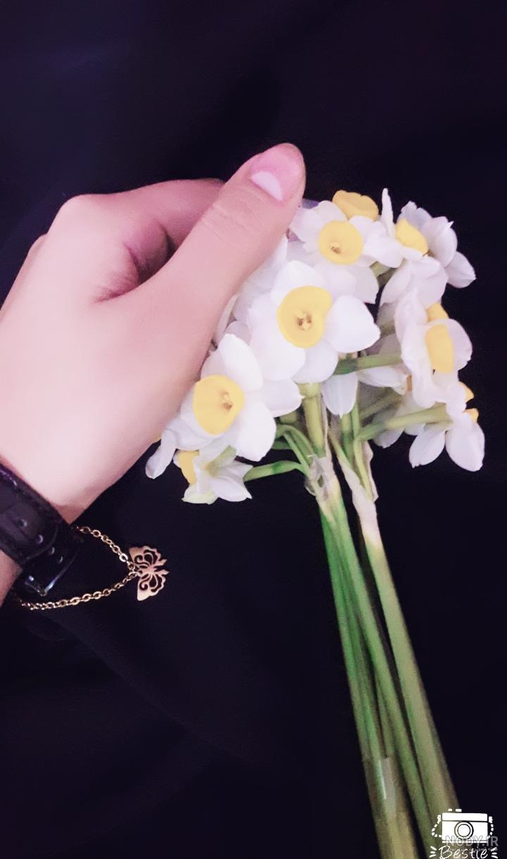  عکس دختر با گل نرگس برای پروفایل