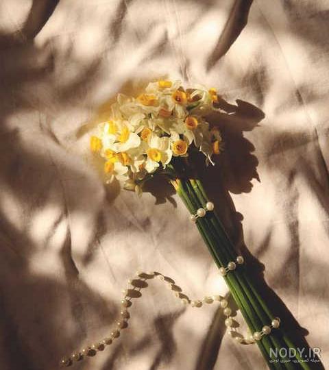 عکس دختر با گل نرگس برای پروفایل