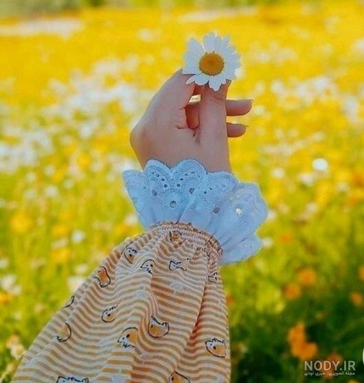  عکس دختر با گل نرگس برای پروفایل