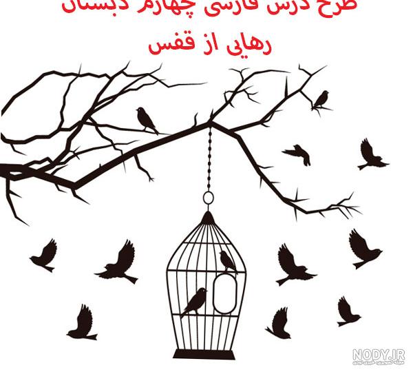 عکس رهایی از قفس