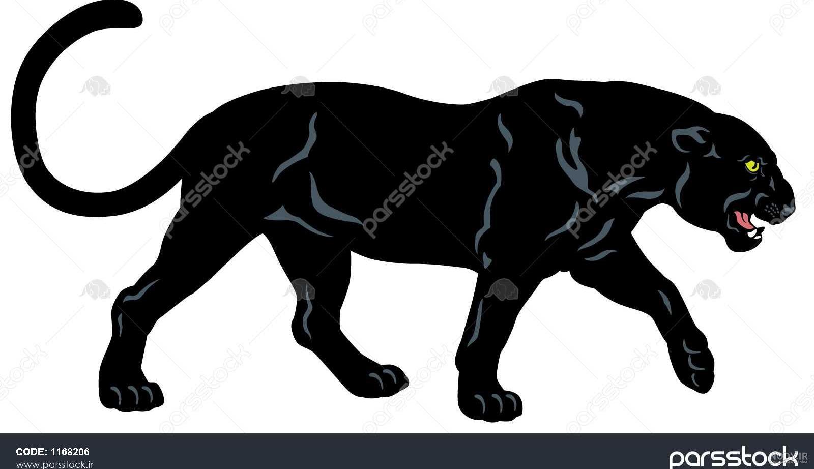  عکس جگوار سیاه وحشی