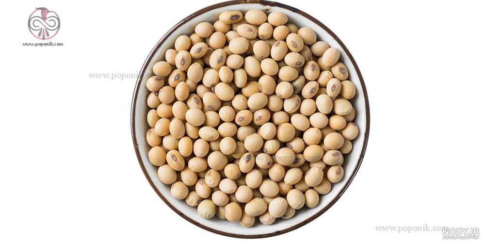 آجیل سویا چیست و چه خواصی دارد؟ | سایت انتخاب آجیل سویا چیست و چه خواصی دارد؟ | سایت انتخاب