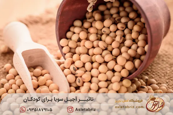 خرید سویا آجیلی | قیمت سویا بوداده آجیلی خرید سویا آجیلی | قیمت سویا بوداده آجیلی