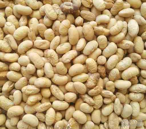 سویا آجیلی - به تازگی طبیعت سویا آجیلی - به تازگی طبیعت