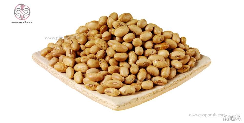 عکس آجیل سویا