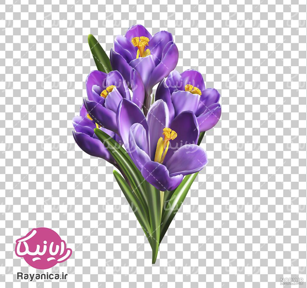 المان واقع گرایانه گل زعفران | تیک طرح مرجع گرافیک ایران