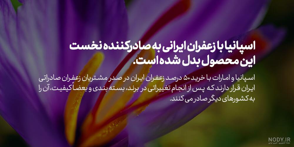 نمونه طراحی لوگو حرفه ای و طراحی آرم شرکت - لوگونگار
