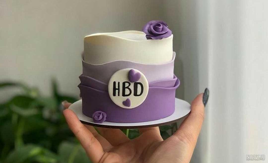 عکس مینی کیک فانتزی دخترانه