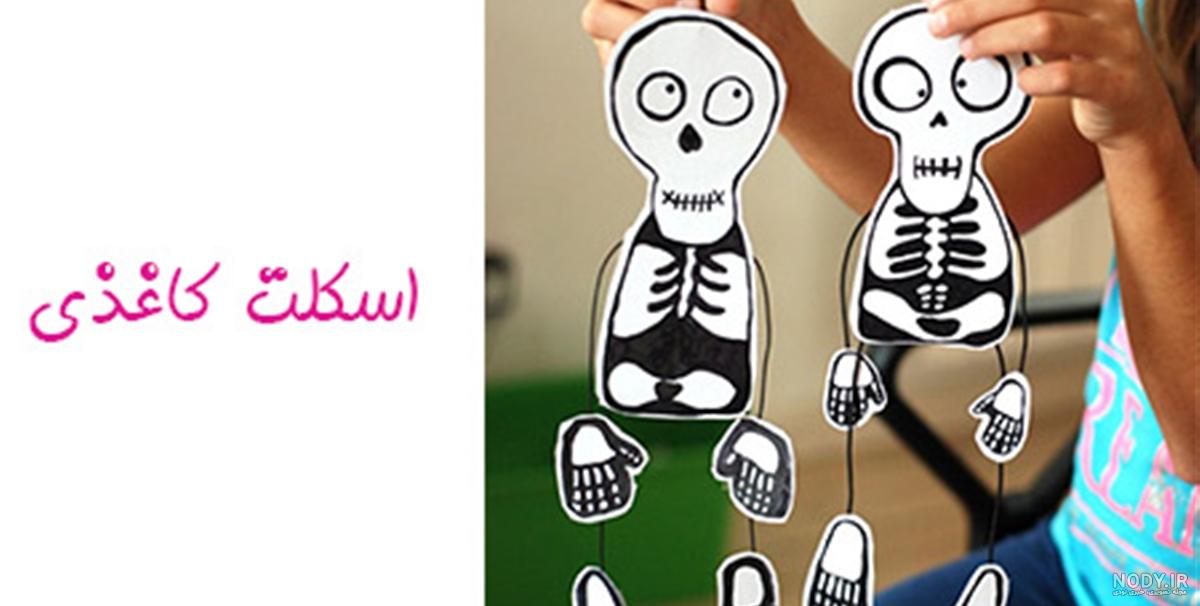 اسکلت بدن انسان چیست؟ ساختار و عملکرد اسکلت بدن | جهان شیمی فیزیک