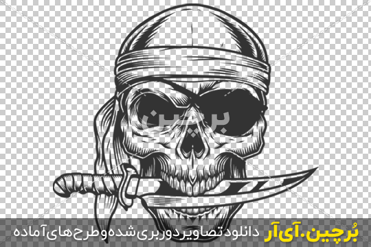عکس جمجمه - فری پیک فارسی عکس جمجمه - فری پیک فارسی