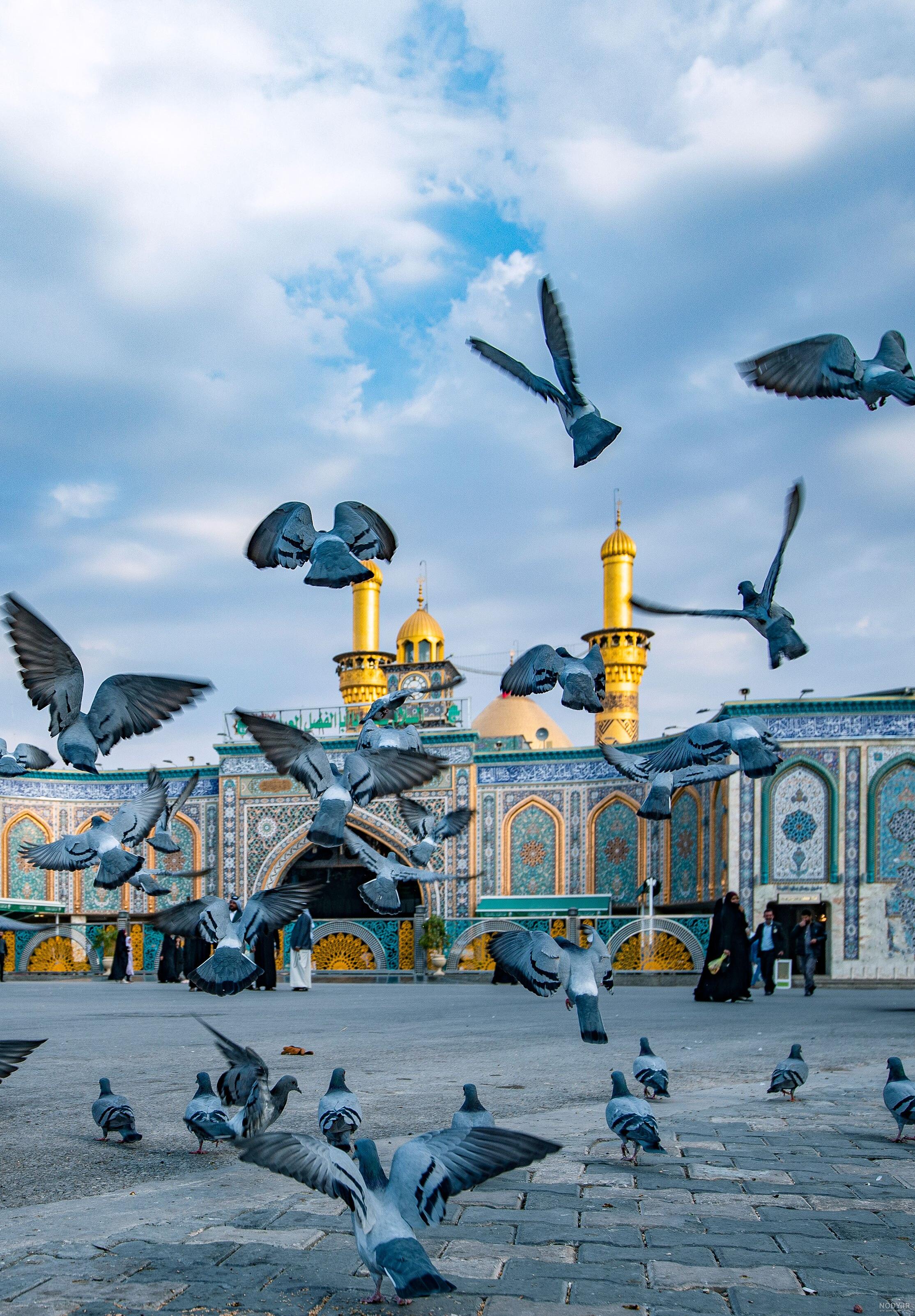 عکس ضریح حرم حضرت ابوالفضل عکس ضریح حرم حضرت ابوالفضل