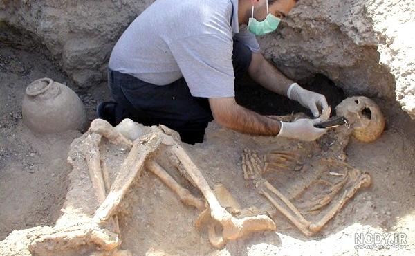 چگونگی تشخیص سن اسکلت ها - تسنیم چگونگی تشخیص سن اسکلت ها - تسنیم