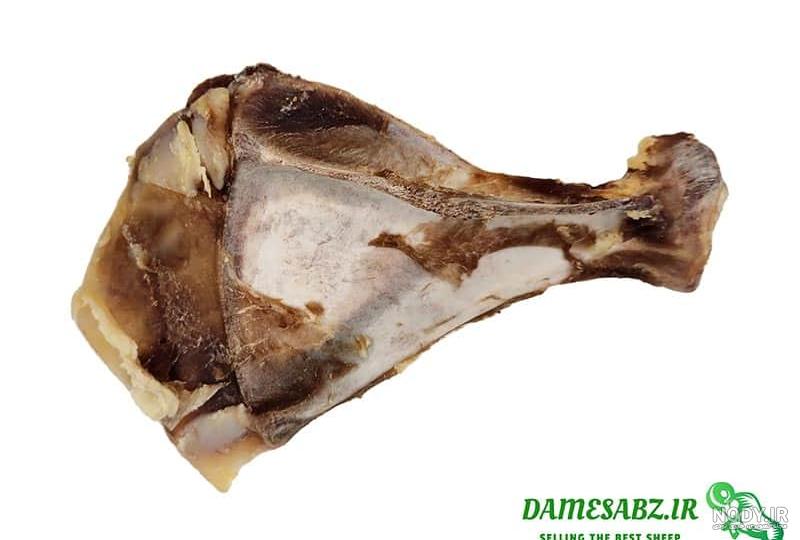 کشف اسکلت کودکان سه هزار ساله در قزوین + عکس