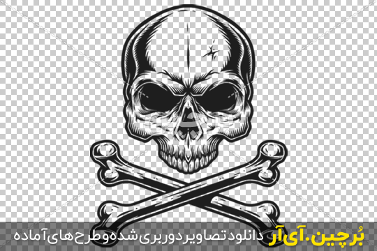 کشف 56 جمجمه و اسکلت انسان در منزلی در اتریش - تسنیم کشف 56 جمجمه و اسکلت انسان در منزلی در اتریش - تسنیم