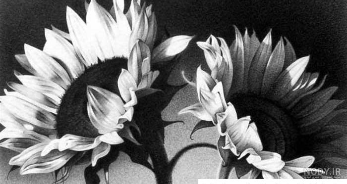 آموزش سیاه قلم چهره