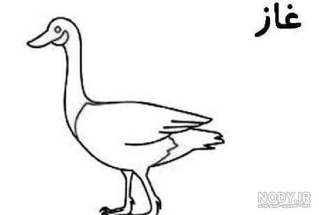 آموزش مرحله به مرحله نقاشی ساده فانتزی و کودکانه – نقاشی غاز