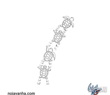 آموزش مرحله به مرحله نقاشی لاک پشت