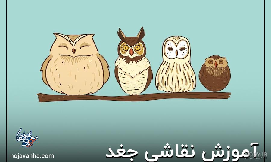 آموزش نقاشی جغد آموزش نقاشی جغد
