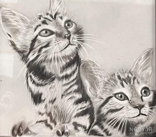 آموزش نقاشی گربه – نقاشیار آموزش نقاشی گربه – نقاشیار