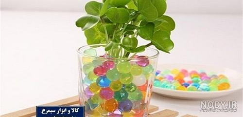 خاک ژله ای؛ کاربردها، فواید و معایب آن - ستاره خاک ژله ای؛ کاربردها، فواید و معایب آن - ستاره