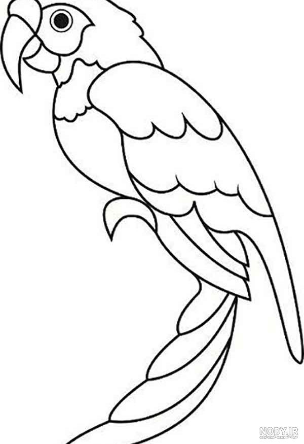 عکس طوطی نقاشی کودکانه - عکس نودی