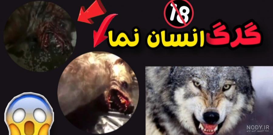 عکس مرد گرگ نما در یزد - عکس نودی عکس مرد گرگ نما در یزد - عکس نودی