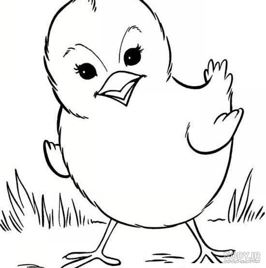 عکس نقاشی جوجه آسان