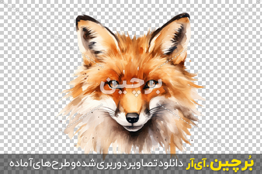 عکس نقاشی روباه بزرگ عکس نقاشی روباه بزرگ