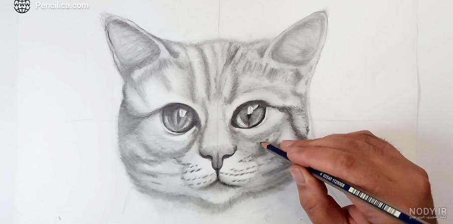 عکس نقاشی گربه سیاه قلم عکس نقاشی گربه سیاه قلم