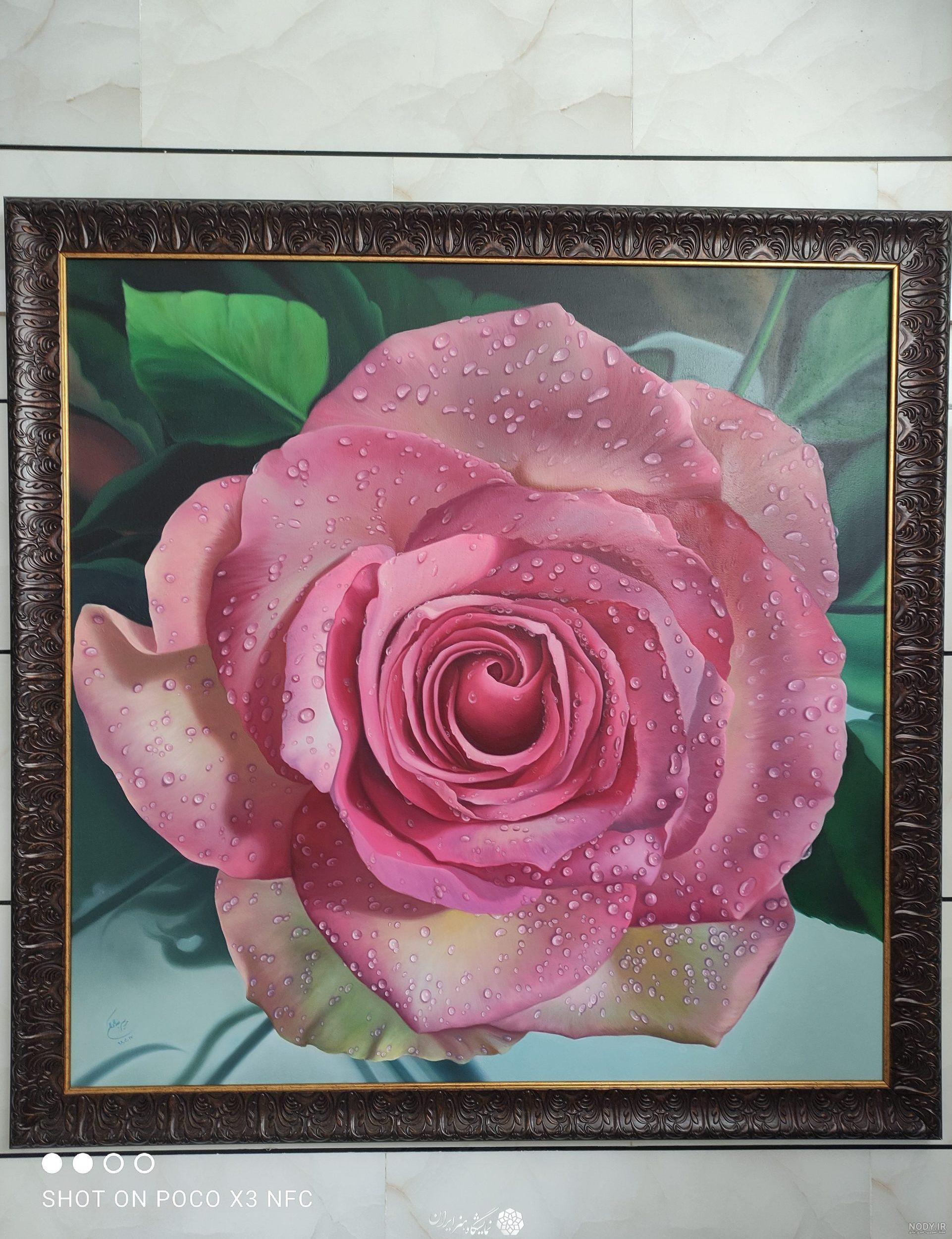 عکس نقاشی گل رز کودکانه - عکس نودی