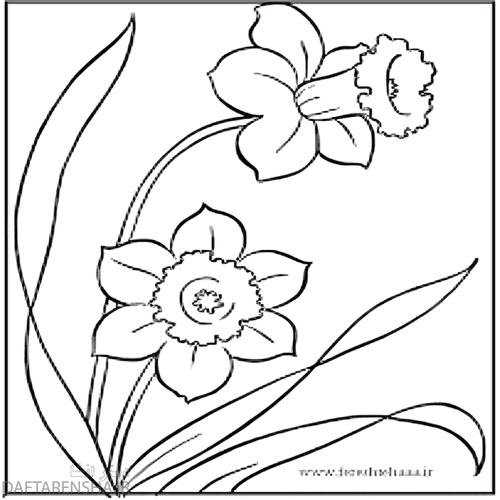 عکس نقاشی گل رز کودکانه - عکس نودی