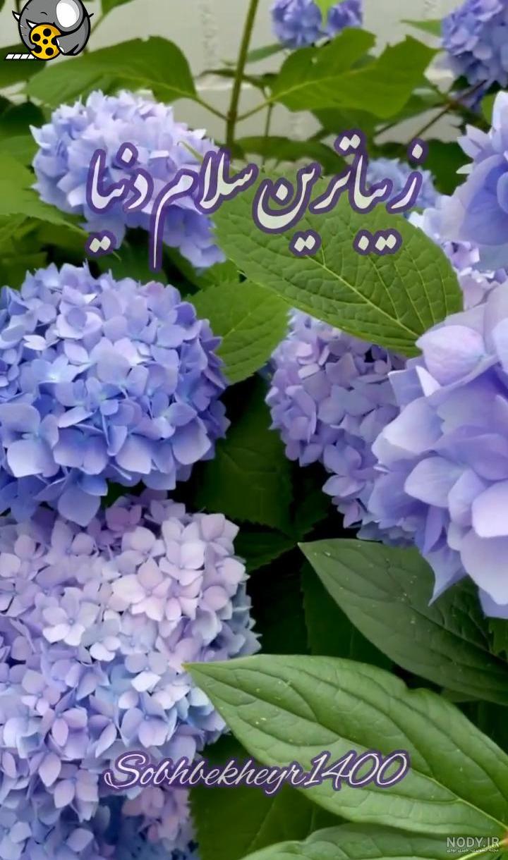 عکس نوشته های سلام صبح بخیر پر انرژی - دفتر انشا عکس نوشته های سلام صبح بخیر پر انرژی - دفتر انشا