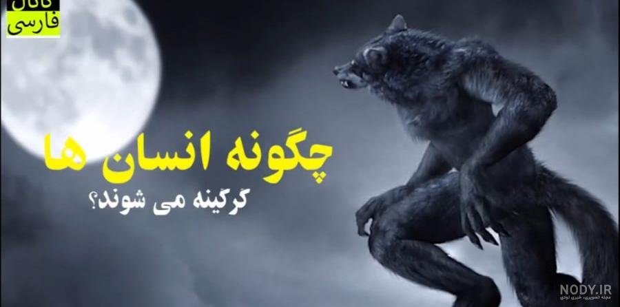 عکس واقعی گرگ آدم نما عکس واقعی گرگ آدم نما