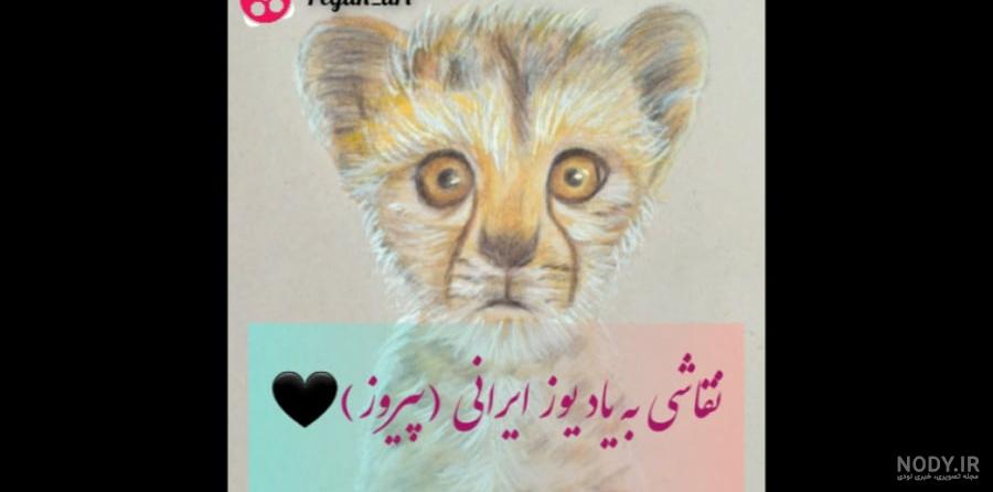 عکس یوزپلنگ برای نقاشی کشیدن - عکس نودی عکس یوزپلنگ برای نقاشی کشیدن - عکس نودی