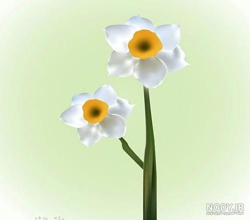 نقاشی ساده گل ؛ ۲۵ نقاشی با اشکال آموزشی سرگرم کننده - ستاره
