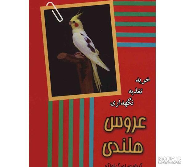 نقاشی سیاه قلم عروس هلندی - عکس نودی نقاشی سیاه قلم عروس هلندی - عکس نودی