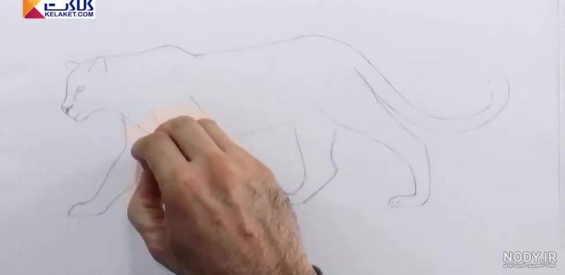 نقاشی پلنگ کودکانه ؛ 90 عکس پلنگ مخصوص رنگ آمیزی کودکان - دلبرانه نقاشی پلنگ کودکانه ؛ 90 عکس پلنگ مخصوص رنگ آمیزی کودکان - دلبرانه
